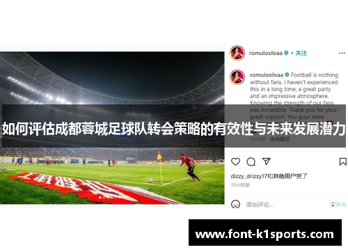 如何评估成都蓉城足球队转会策略的有效性与未来发展潜力