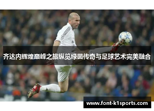 齐达内辉煌巅峰之旅纵览绿茵传奇与足球艺术完美融合